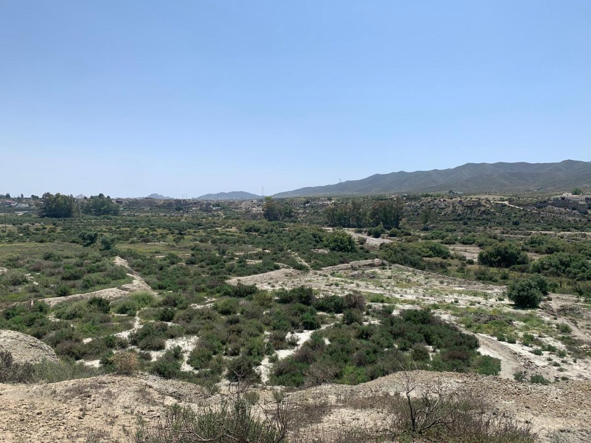 Las Casas Rurales De Los Olivos تابيرناس المظهر الخارجي الصورة